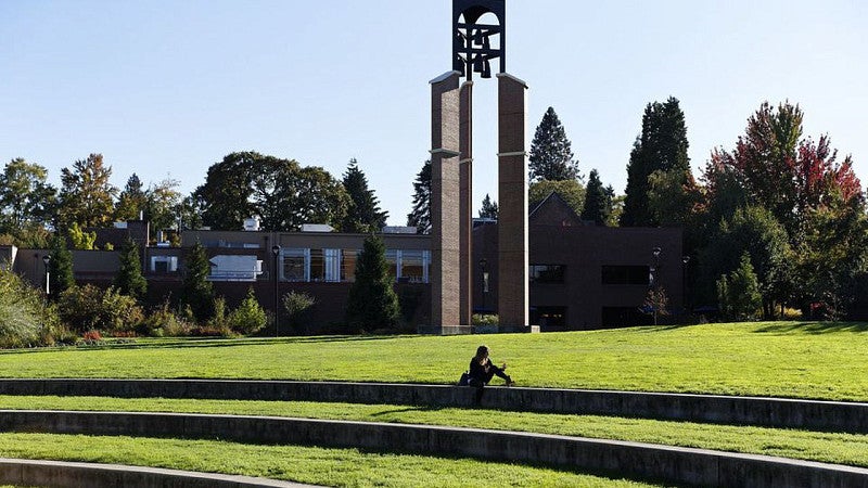 Ballmer Green Lawn