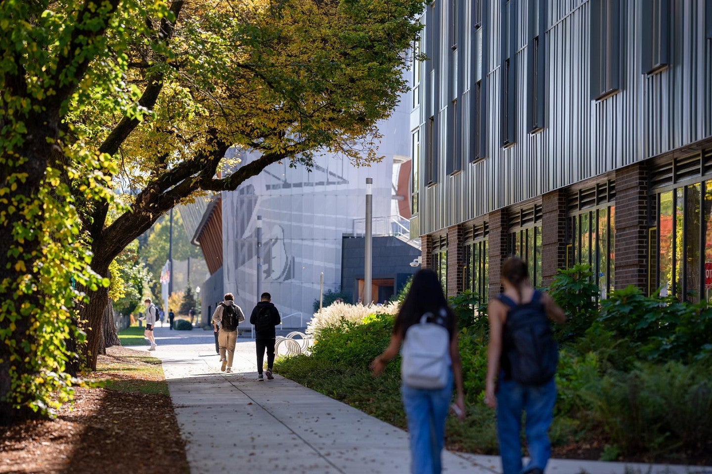 People walk along a tree-lined sidewalk next to a modern building on a sunny day, with foliage and shadows creating a pleasant atmosphere.