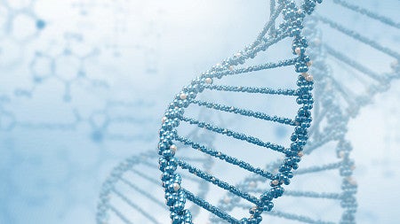 DNA strand